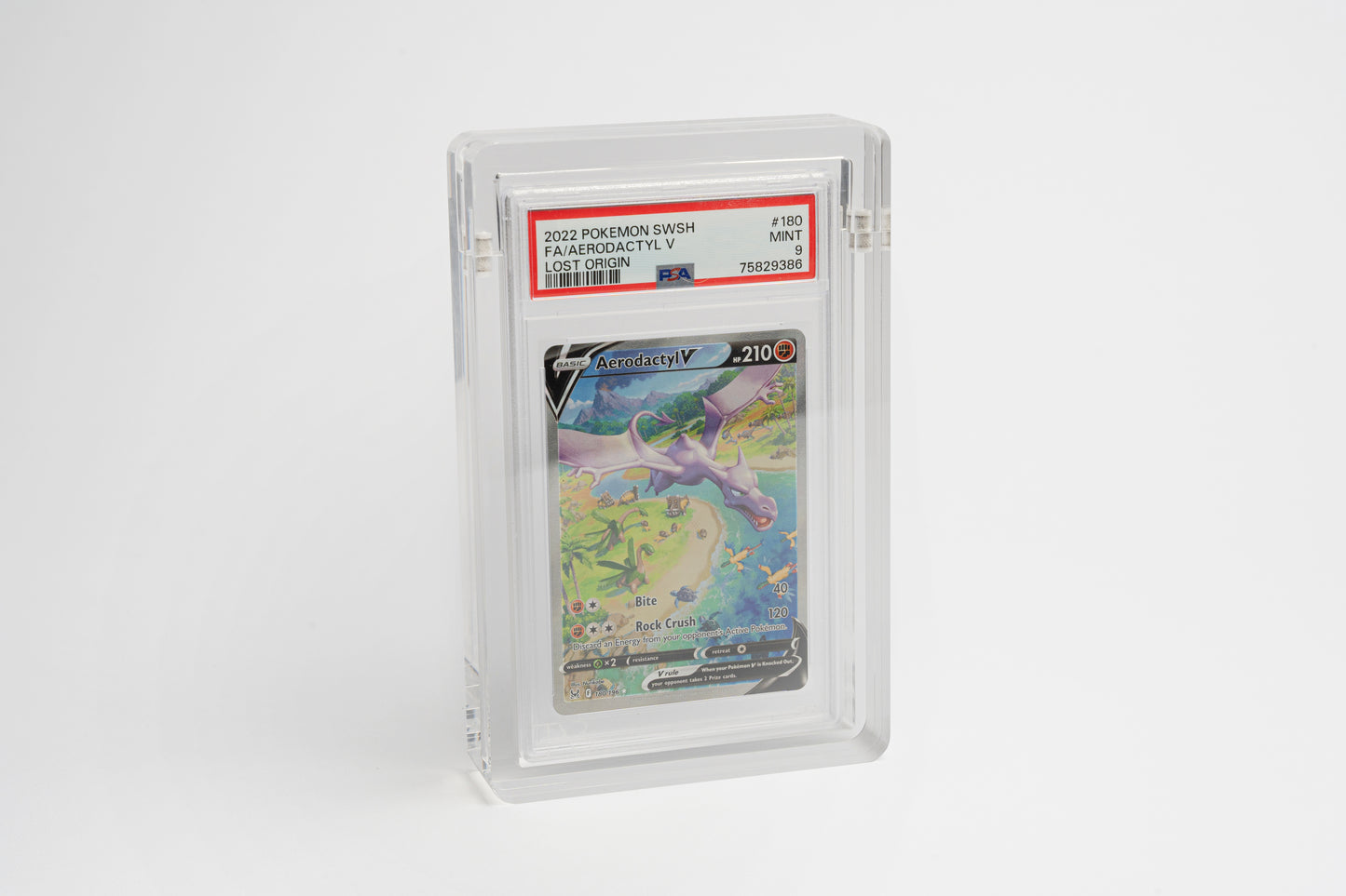 Acryl Case für Graded Cards (PSA / Beckett) - Trophy Variante