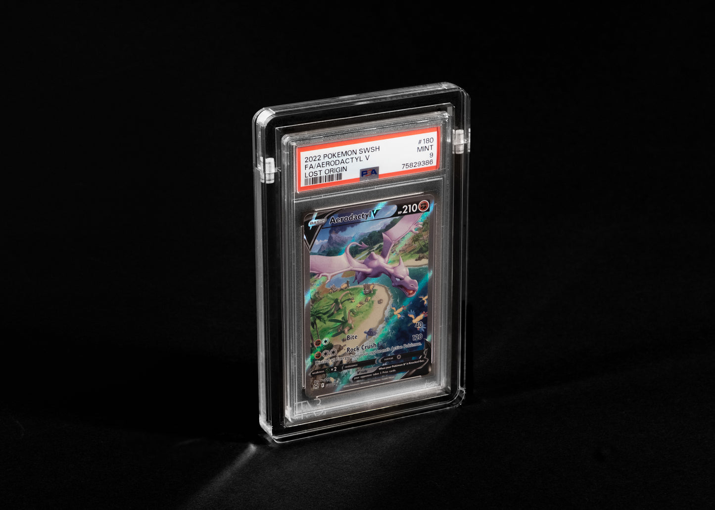 Acryl Case für Graded Cards (PSA / Beckett) - Premium SLIM Variante