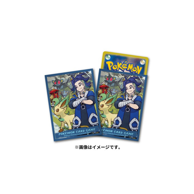 Card Sleeves Adaman Pokémon HISUI DAYS